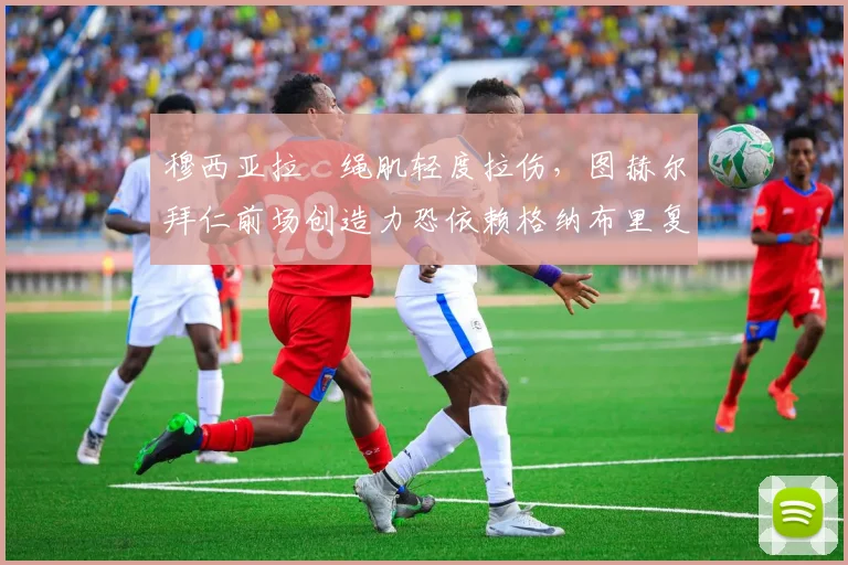穆西亚拉腘绳肌轻度拉伤，图赫尔拜仁前场创造力恐依赖格纳布里复苏